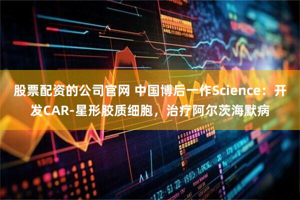 股票配资的公司官网 中国博后一作Science：开发CAR-星形胶质细胞，治疗阿尔茨海默病